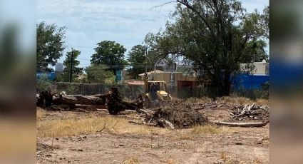 Cajeme: Concesión del antiguo zoológico en el Parque Ostimuri concluye; analizan reintegrar el área