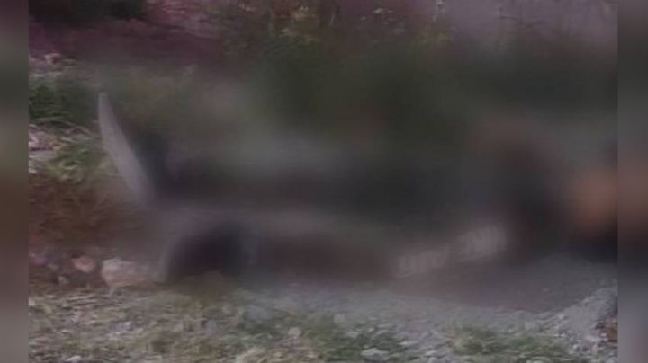 Joven albañil pierde la vida al ser atacado a tiros por gatilleros; murió al instante