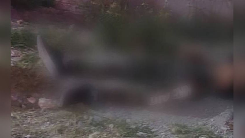 Joven albañil pierde la vida al ser atacado a tiros por gatilleros; murió al instante