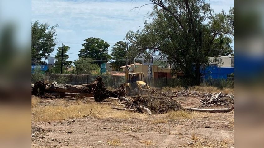 Cajeme: Concesión del antiguo zoológico en el Parque Ostimuri concluye; analizan reintegrar el área