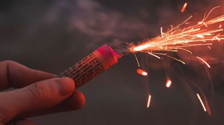 Iniciativa en el Congreso de Sonora propone considerar uso de pirotecnia como crueldad animal