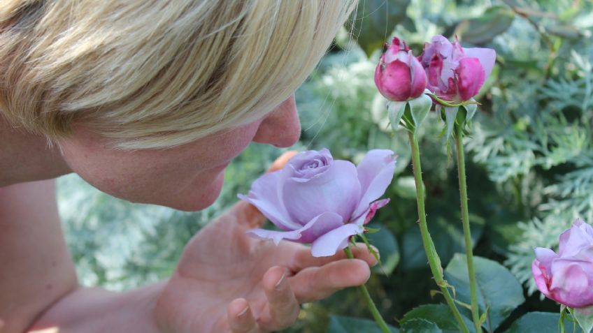 Covid-19: Expertos revelan que una de cada 20 personas no podrían recuperar su sentido del olfato