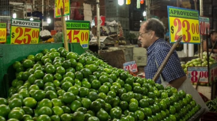 Precio del limón va a la baja, pero "sigue dando lata", sentencia Profeco