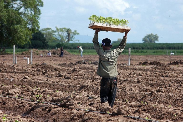 Trabajo infantil en México