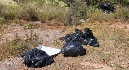 Amanecen cinco bolsas con restos humanos en Zacatecas; fueron encontradas por vecinos