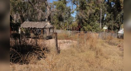 Un vivero o un refugio: Proponen opciones para antiguo zoológico en Cajeme