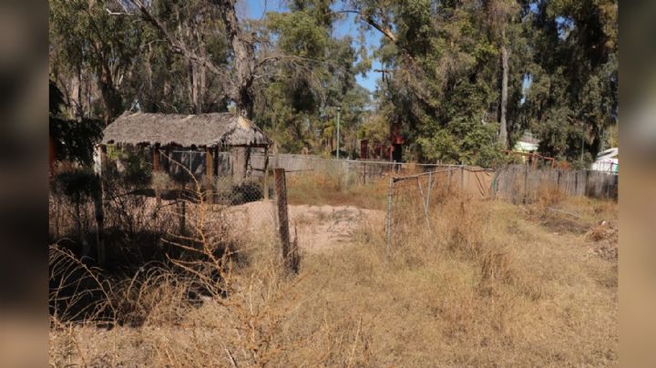 Un vivero o un refugio: Proponen opciones para antiguo zoológico en Cajeme