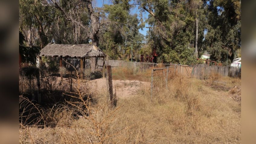 Un vivero o un refugio: Proponen opciones para antiguo zoológico en Cajeme