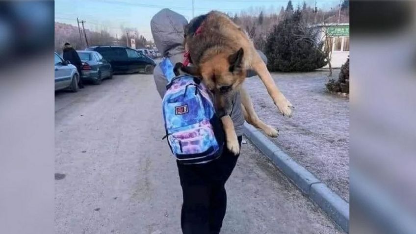 Amor a su mascota: Mujer carga a su perro por 17 km para huir de la guerra en Ucrania