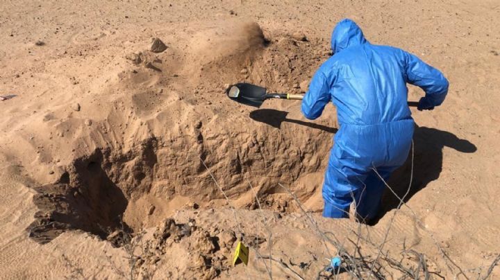 Localizan otros 11 cuerpos en cementerio clandestino de Sonora; suman 20 fallecidos