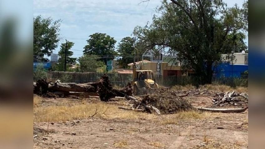 Hay litigio por área del parque Ostimuri; empresa demanda al Ayuntamiento de Cajeme