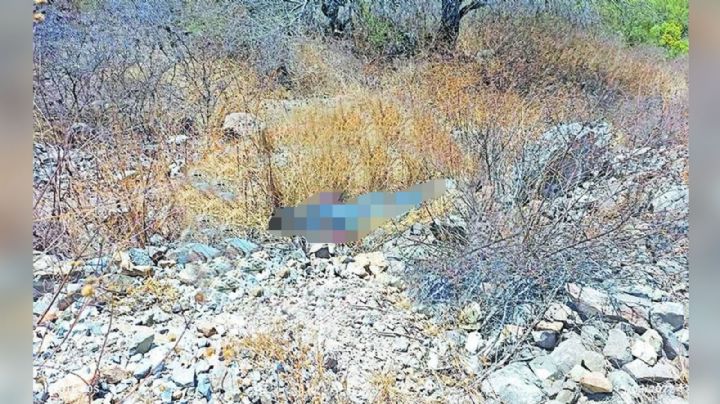 Sobre un predio despoblado, abandonan el cadáver de un hombre; estaba maniatado