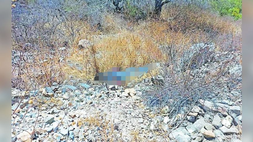 Sobre un predio despoblado, abandonan el cadáver de un hombre; estaba maniatado