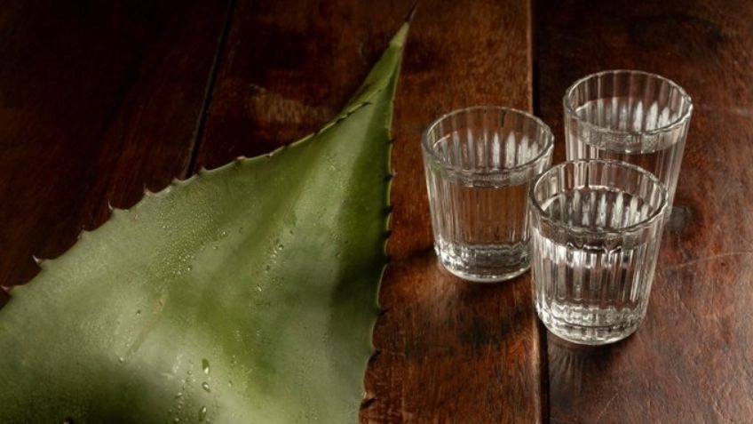 ¿Fan del mezcal? Profeco destaca cuáles son las marcas que ya no se venderán