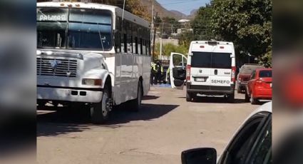 Terrible suceso: Niño de 8 años muere tras ser aplastado por un camión de la Línea 10 en Guaymas