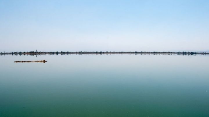 Lago de Texcoco, zona donde construirían el NAIM de EPN, es declarada Área Natural Protegida