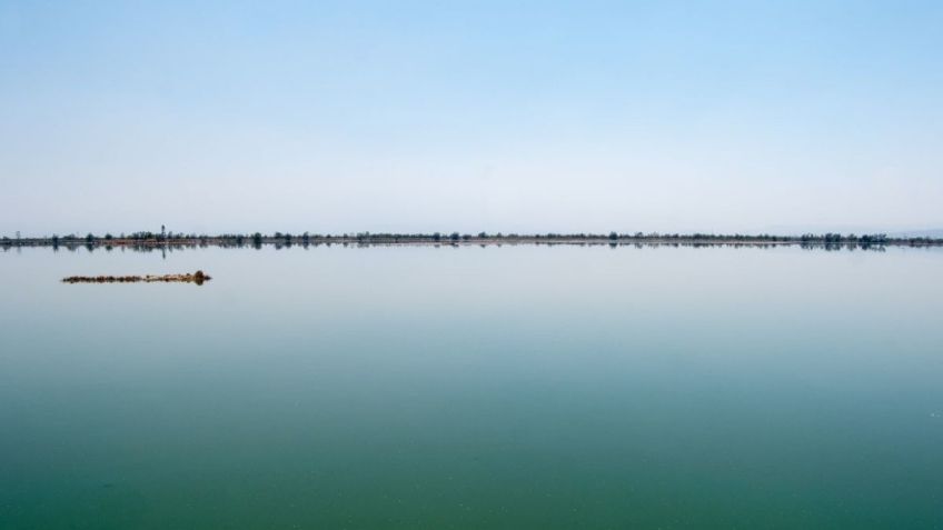 Lago de Texcoco, zona donde construirían el NAIM de EPN, es declarada Área Natural Protegida