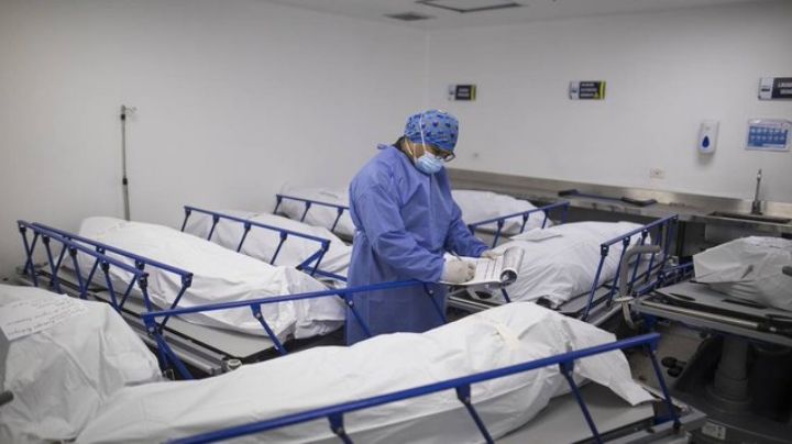 No es el fin: OMS alerta por incremento en muertes por Covid-19 aunque contagios bajan