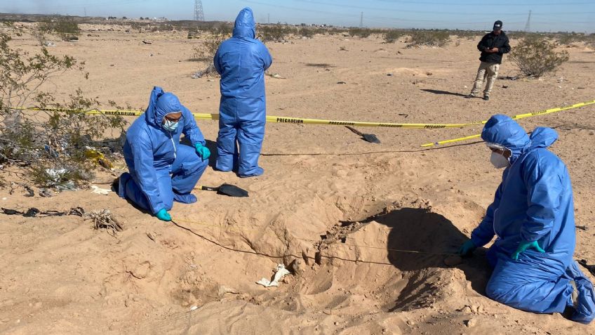 Hallan 11 cuerpos en cementerio clandestino de Sonora; piden a familiares dar muestra de ADN