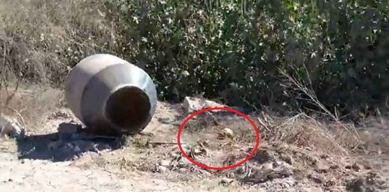 Autoridades se movilizaron por la presencia de restos humanos en un baldío de Valle del Yaqui