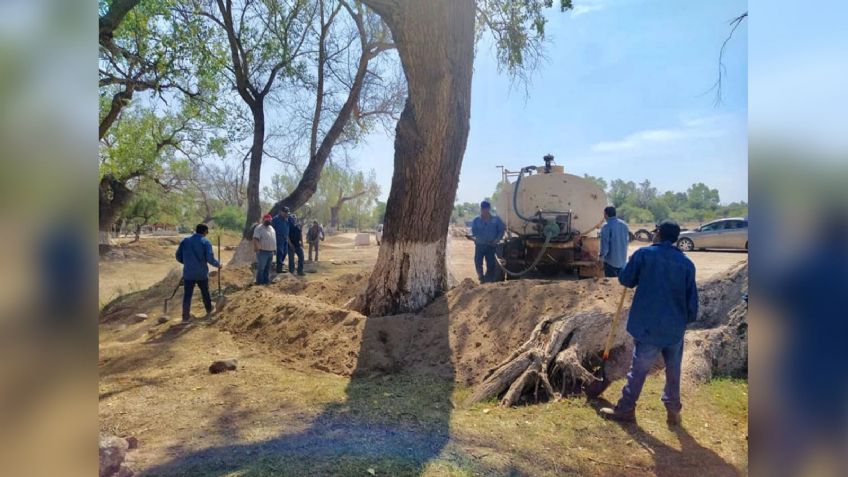 Lanzan un S.O.S. para rescatar el Río Mayo en Navojoa; la tala de árboles es uno de los problemas