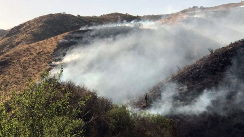 Arde sierra de Sonora: Se registra incendio forestal en Ímuris e inician trabajos de combate