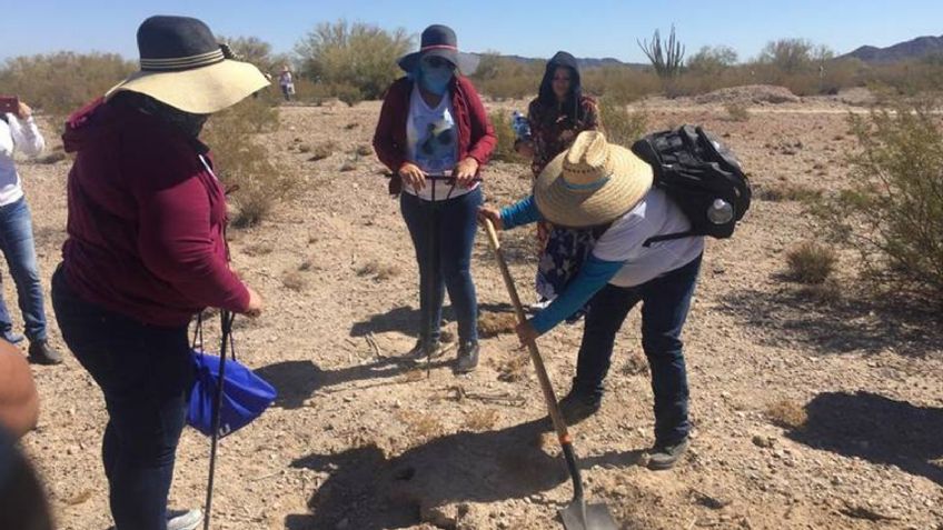 Guerreras Buscadoras de Cajeme solicitan apoyo de la ciudadanía para no detener búsquedas