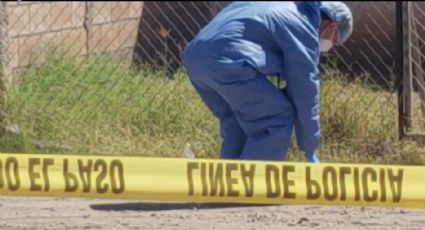 'Narcomensaje' del CJNG: Canino saca de bolsas de basura una cabeza y más extremidades humanas