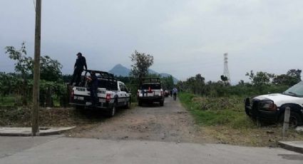 Terrible hallazgo: Encuentran cuerpos calcinados en Veracruz; uno era un funcionario