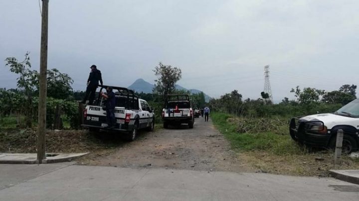 Terrible hallazgo: Encuentran cuerpos calcinados en Veracruz; uno era un funcionario