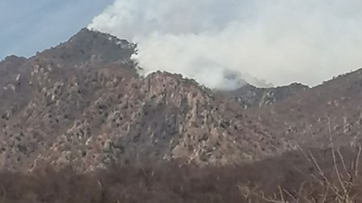 Incendio forestal afecta sierra de Álamos; es de los peores en 20 años, dice Conafor