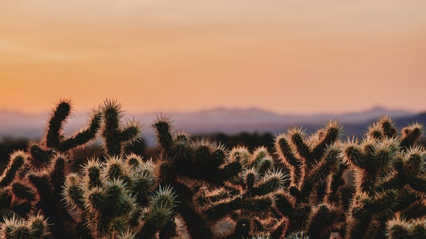 Clima Sonora hoy 18 de abril 2022: ¡Precaución! Advierten por temperaturas altas este día