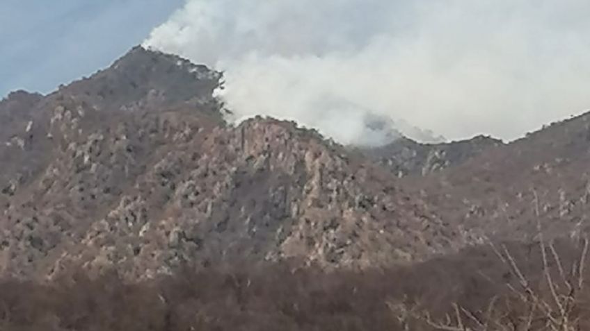 Incendio forestal afecta sierra de Álamos; es de los peores en 20 años, dice Conafor