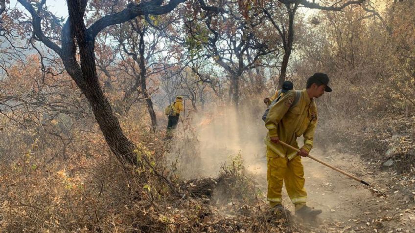 Grupo de ejidatarios procederá legalmente contra responsables de incendio forestal en Álamos