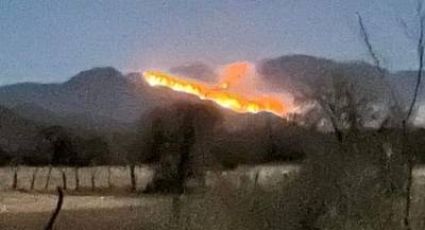 Incendios forestales en Sonora arrasan con la flora y fauna y causan pánico en la población