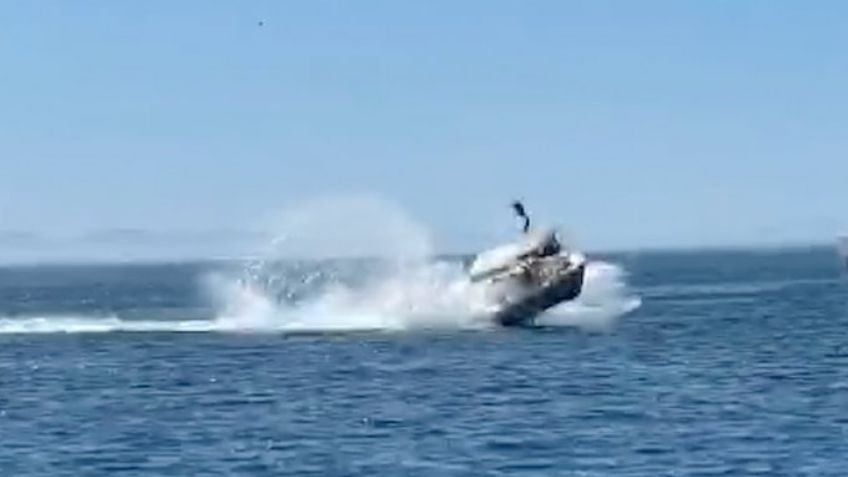 Terrible: Barco choca contra una ballena en Baja California Sur; reportan 6 personas heridas