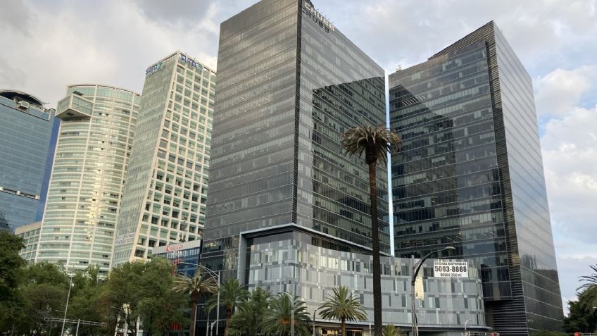 Adiós a un ícono de la CDMX: Retiran la palma de Paseo de la Reforma por un problema de plaga