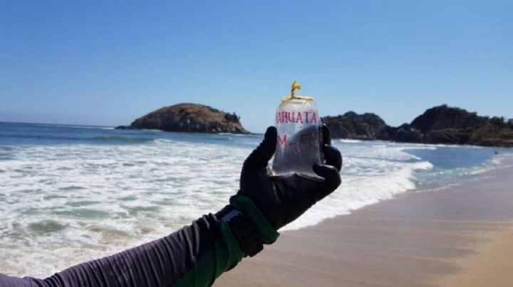 ¡Atención! Estas son las playas más sucias de México para esta Semana Santa, según Cofepris