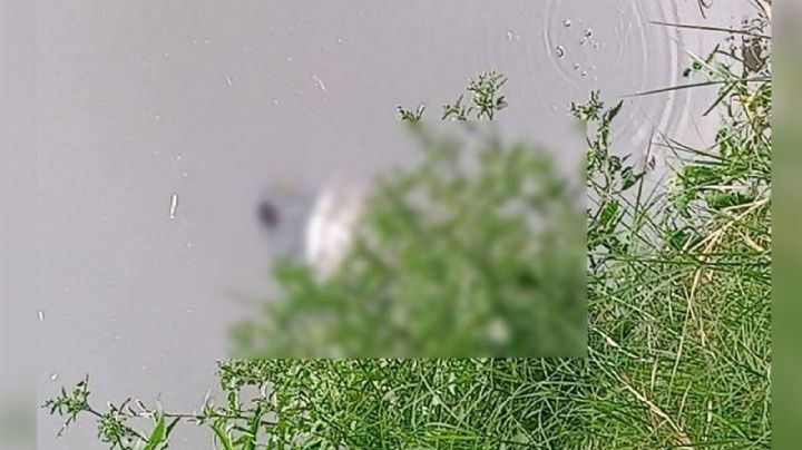 Abandonan el cadáver de un hombre en un río de aguas negras en Hidalgo