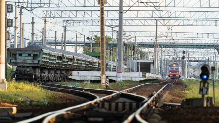 Trágico final: Sujeto muere arrollado por un tren; intentaba rescatar a un can