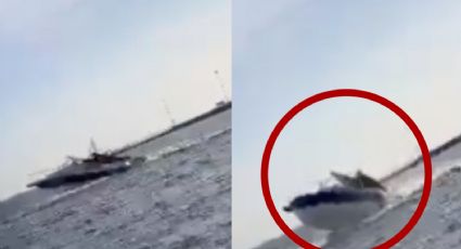 ¡Insólito accidente! Ballena cae sobre una lancha en Sinaloa y deja un saldo de 5 heridos