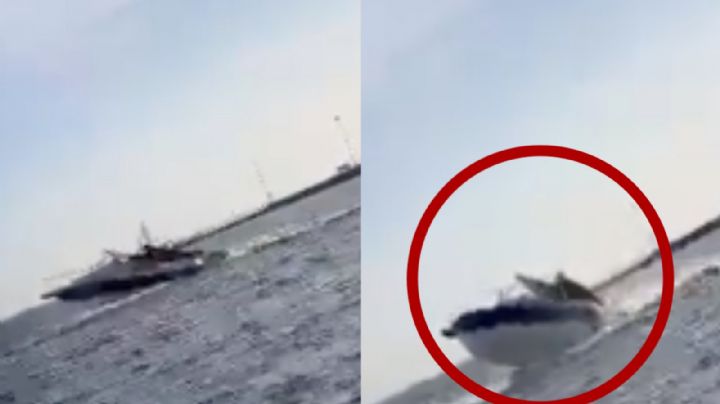 ¡Insólito accidente! Ballena cae sobre una lancha en Sinaloa y deja un saldo de 5 heridos