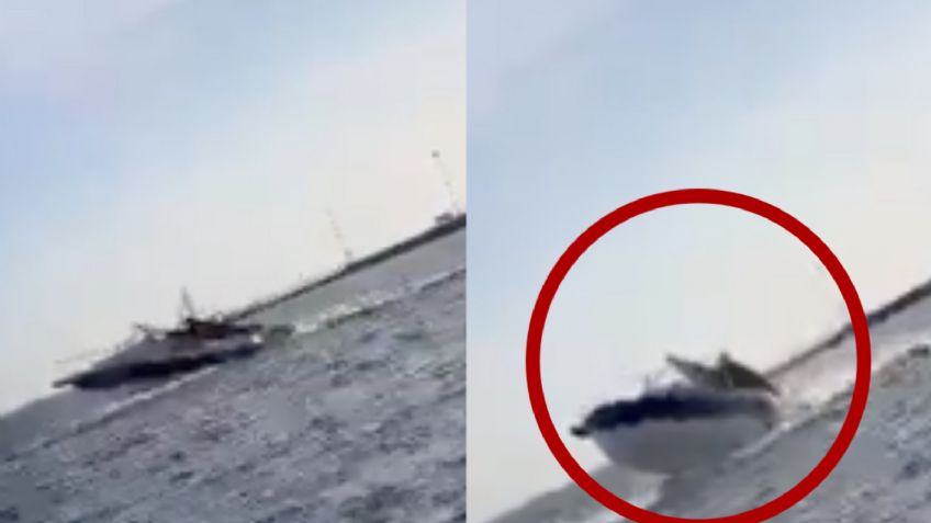 ¡Insólito accidente! Ballena cae sobre una lancha en Sinaloa y deja un saldo de 5 heridos