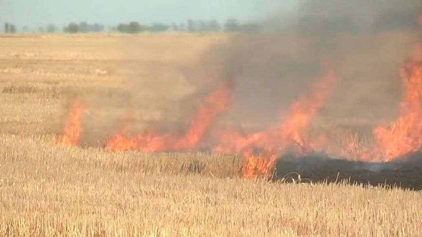 Quema de gavilla, una problemática que parece no tener fin en el Valle del Mayo