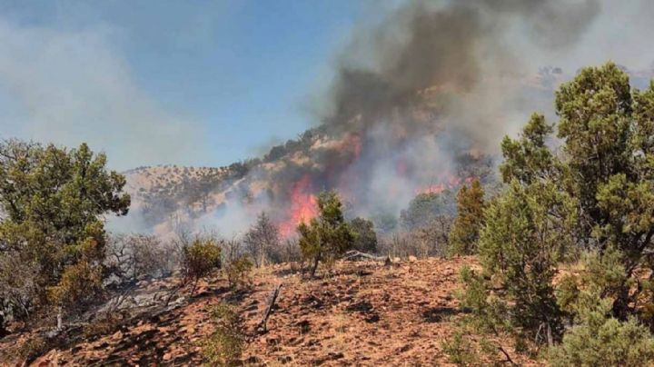 Con 35 incendios forestales, 2022 supera cifras del 2021 en Sonora, reporta Conafor