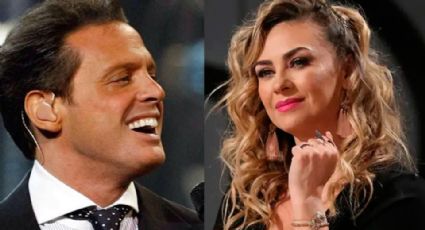 Tiembla Aracely Arámbula: Luis Miguel reaparece en VIDEO y luce irreconocible; deja en shock