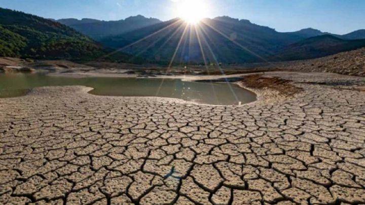 Por sequía crítica en 13 municipios, anuncian programa para atender a 26 mil productores