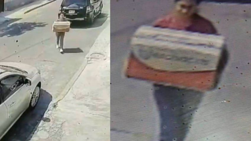 Indignante: Captan a una mujer abandonar cachorros en CDMX; las especies murieron