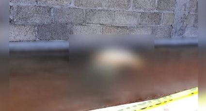 Hombre es asesinado a puñaladas; abandonaron su cadáver dentro de un bebedero de ganado