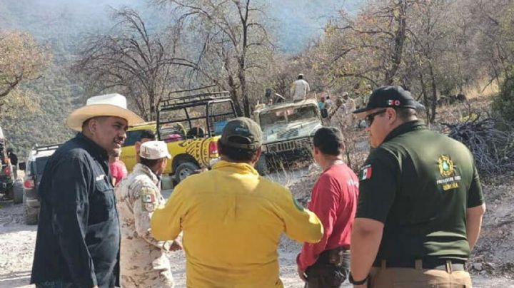 Incendio forestal en Ímuris queda controlado en un 100 por ciento, reporta Protección Civil